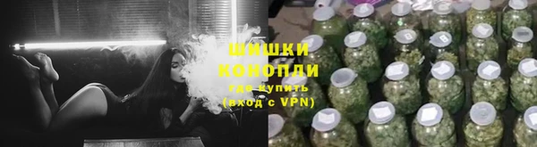 ПСИЛОЦИБИНОВЫЕ ГРИБЫ Липки