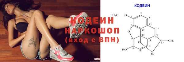 ПСИЛОЦИБИНОВЫЕ ГРИБЫ Липки