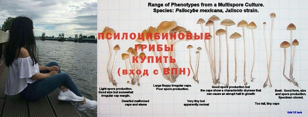 меф Магадан