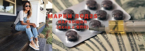 ПСИЛОЦИБИНОВЫЕ ГРИБЫ Липки