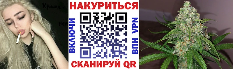 ссылка на мегу   Партизанск  Конопля Amnesia 